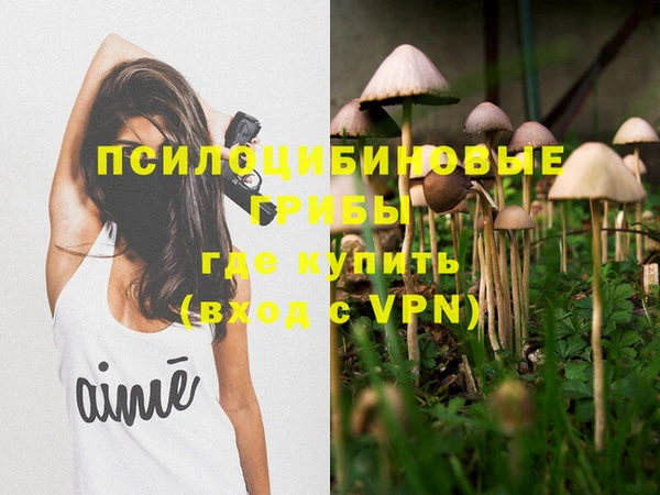гидра Горнозаводск