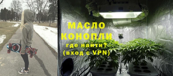 стаф Горняк