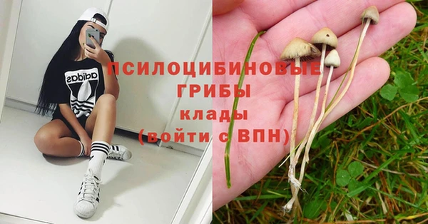 винт Вязники