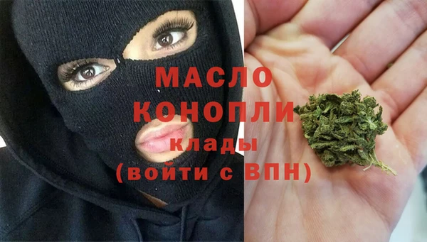 гидра Горнозаводск