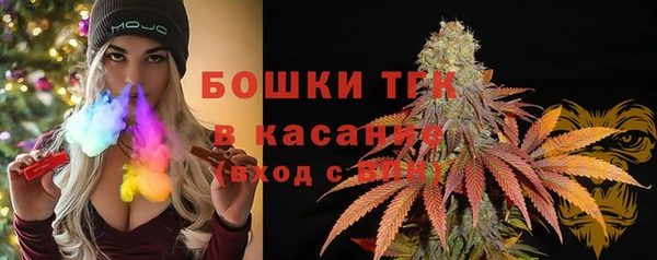 ГАЛЛЮЦИНОГЕННЫЕ ГРИБЫ Вязьма