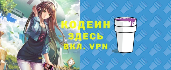 ГАЛЛЮЦИНОГЕННЫЕ ГРИБЫ Вязьма