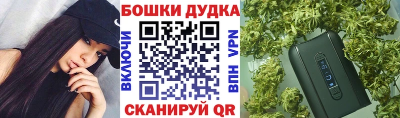 Каннабис SATIVA & INDICA Череповец